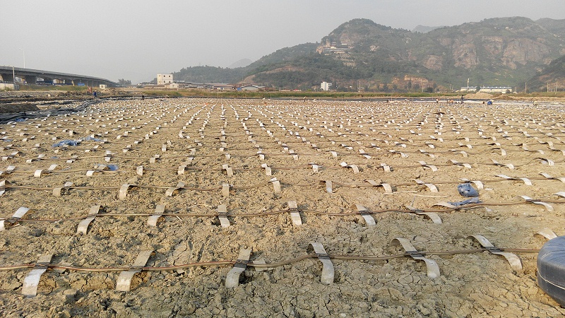 FDP真空預壓真空濾管與排水板連接效果