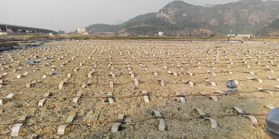 強勁地基解說FDP快速軟地基處理技術的優點